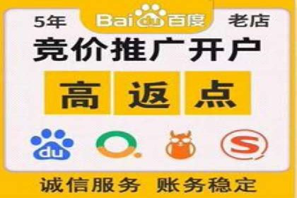 案例分析：SEM托管服务助力电商销量倍增